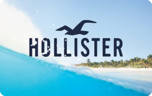 Read more about the article Hollister gift card check balance online