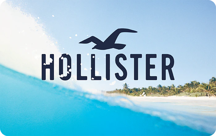 Read more about the article Hollister gift card check balance online